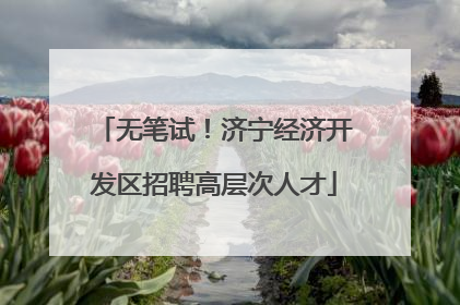 无笔试！济宁经济开发区招聘高层次人才
